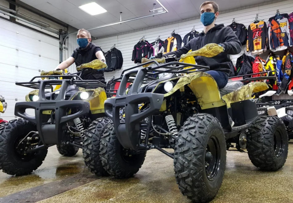 Квадроцикл PROMAX ATV 250 (2025) в Камышине