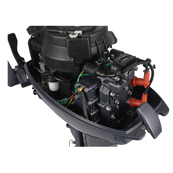 ЛОДОЧНЫЙ МОТОР ALLFA CG Т9,9 Limit в Камышине