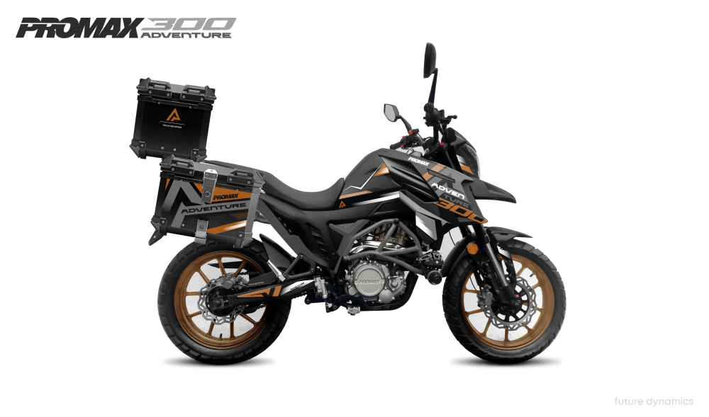 Мотоцикл PROMAX ADVENTURE 300 PRO EFI (NB300) в Камышине