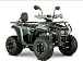 Квадроцикл YACOTA DRAGON LUX LD 150 PRO-SPORT в Камышине