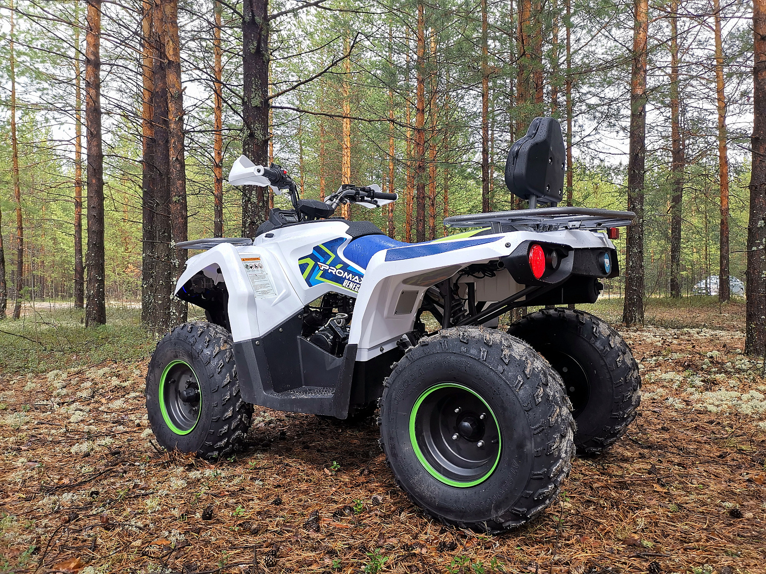 Квадроцикл PROMAX RENEGADE 280 (2025) в Камышине