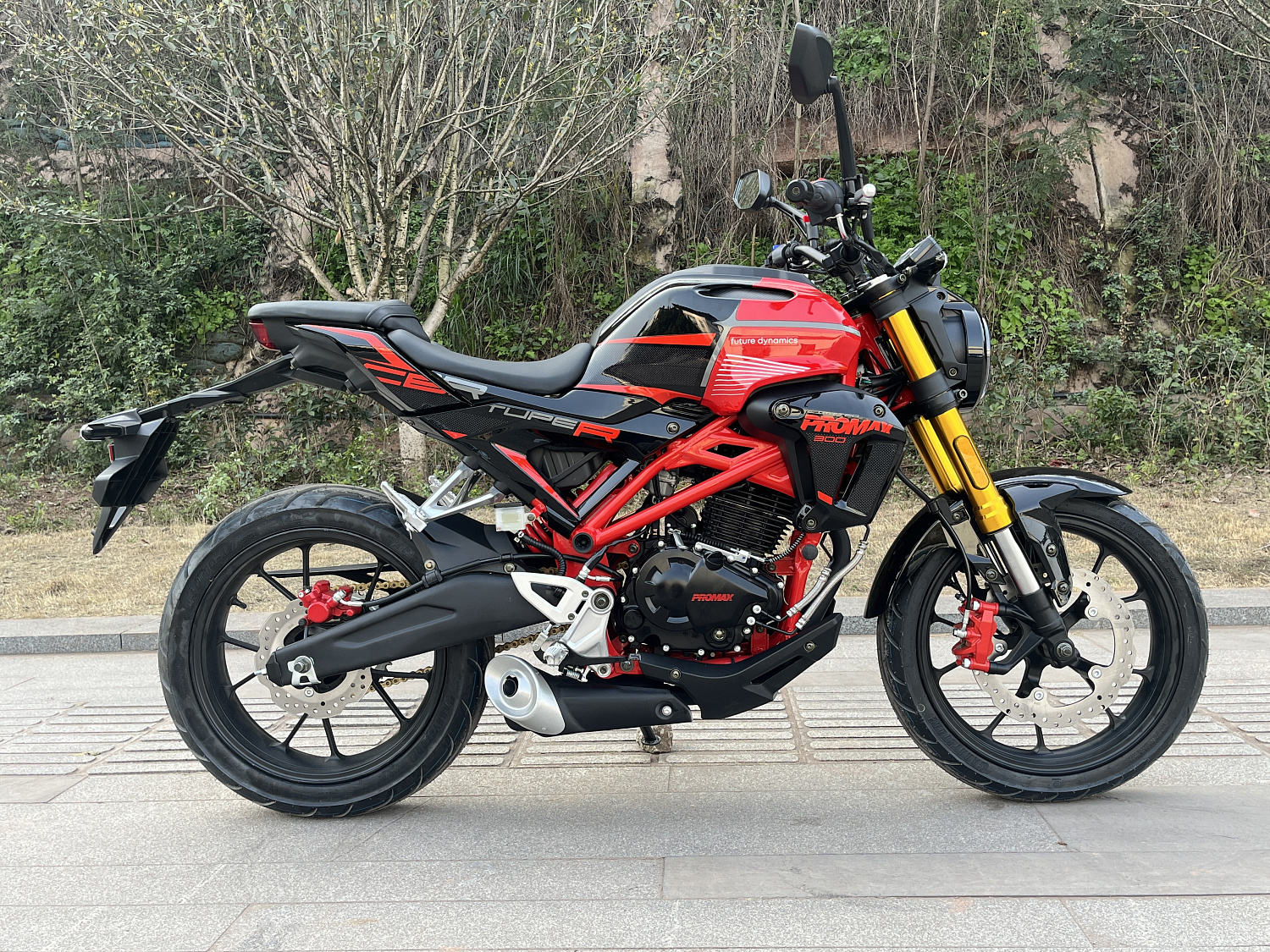 Мотоцикл PROMAX CB300 в Камышине