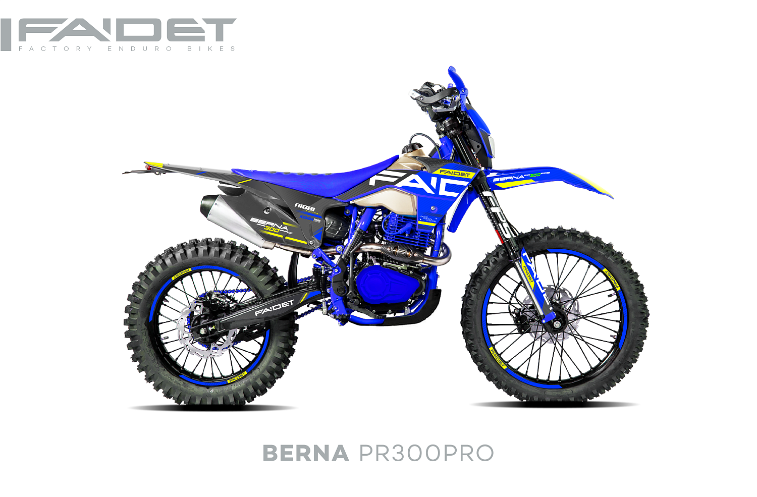 Кроссовый мотоцикл FAIDET BERNA PR300-PRO FPS в Камышине