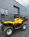 КВАДРОЦИКЛ IRBIS ATV 250  в Камышине