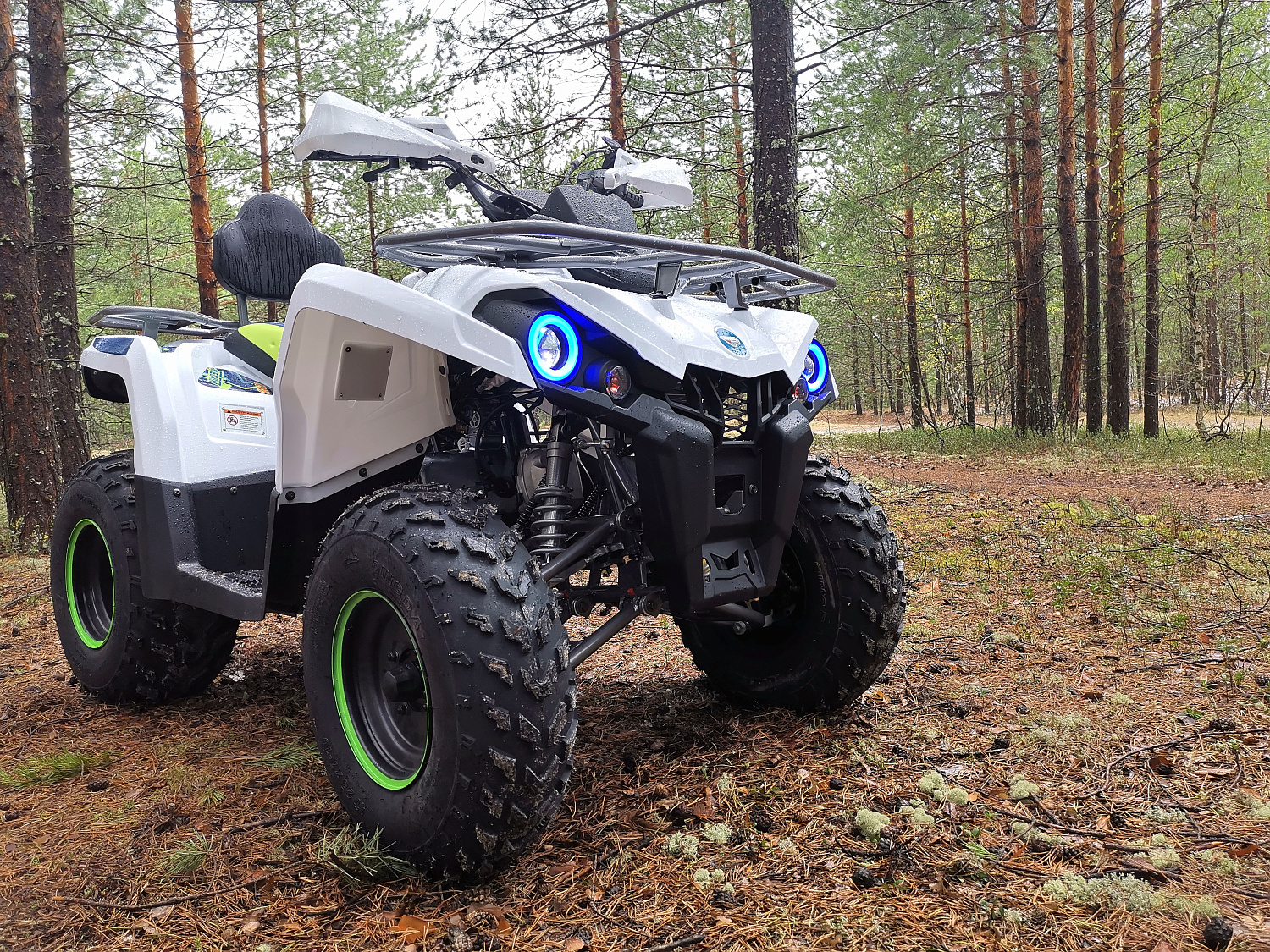 Квадроцикл PROMAX RENEGADE 280 (2025) в Камышине