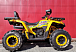 Квадроцикл PROMAX STORM 280 LUX в Камышине