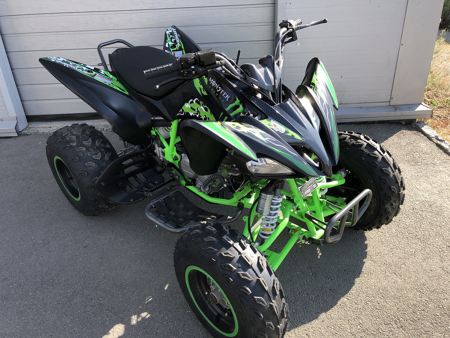 Квадроцикл PROMAX RAPTOR 300 NEW Monster в Камышине