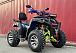  Квадроцикл PROMAX ATV 250 MAX (2025) в Камышине