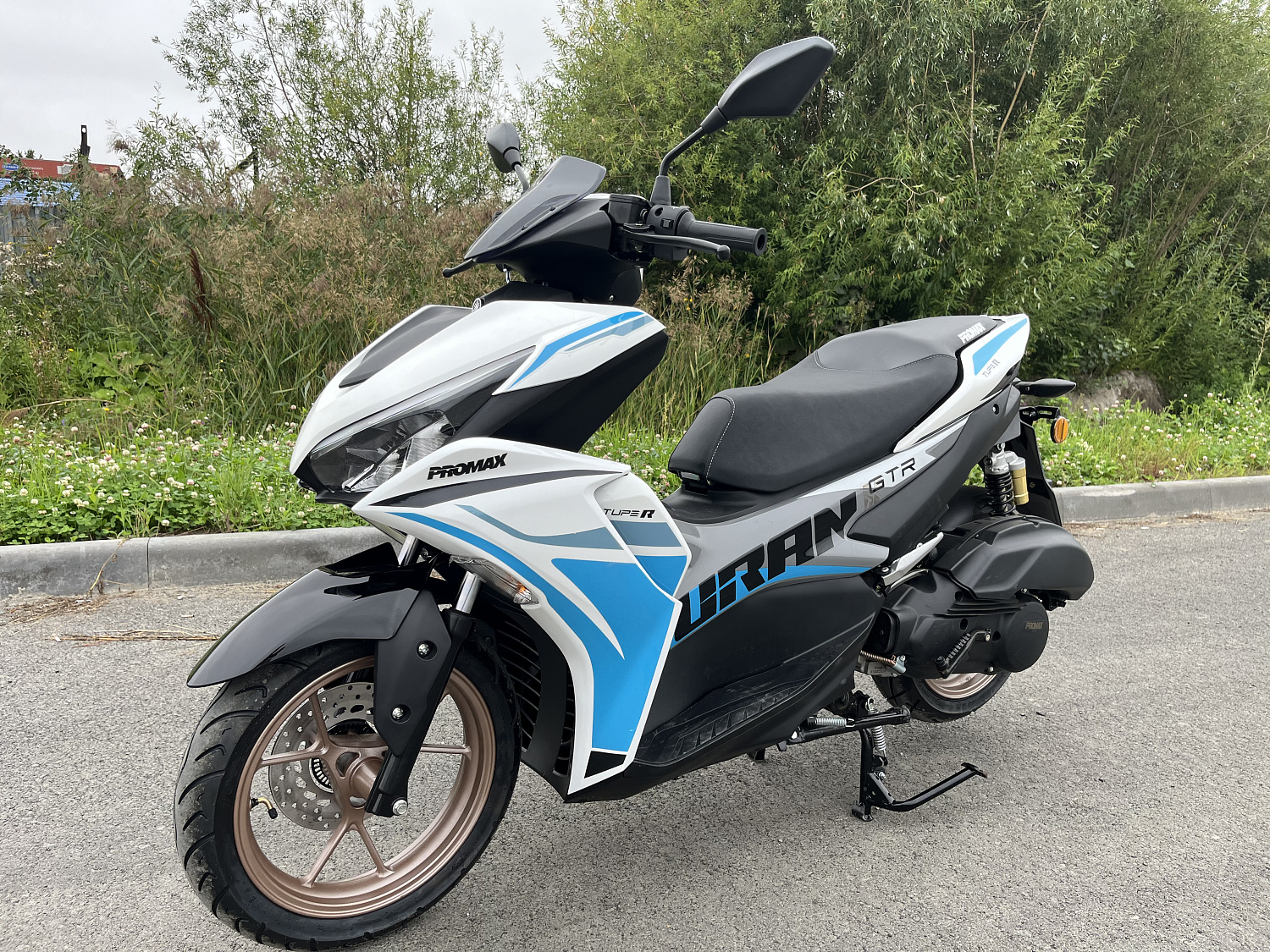 Скутер PROMAX TURAN 250 (49) в Камышине