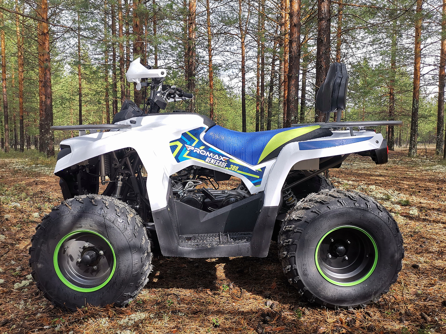Квадроцикл PROMAX RENEGADE 280 (2025) в Камышине