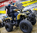 Квадроцикл PROMAX ATV 250 (2025) в Камышине