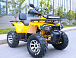 Квадроцикл MOTOLAND (МОТОЛЕНД) VOX200 WILD TRACK X PRO (баланс. вал) в Камышине