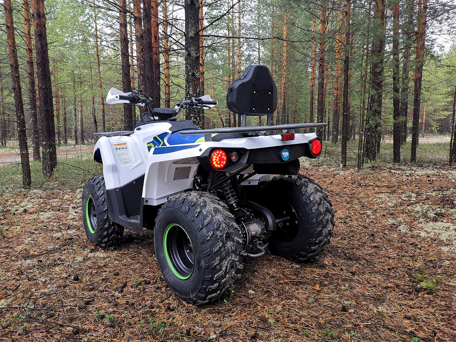 Квадроцикл PROMAX RENEGADE 280 (2025) в Камышине