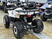 Квадроцикл PROMAX WILD 2.0 190 LUX в Камышине