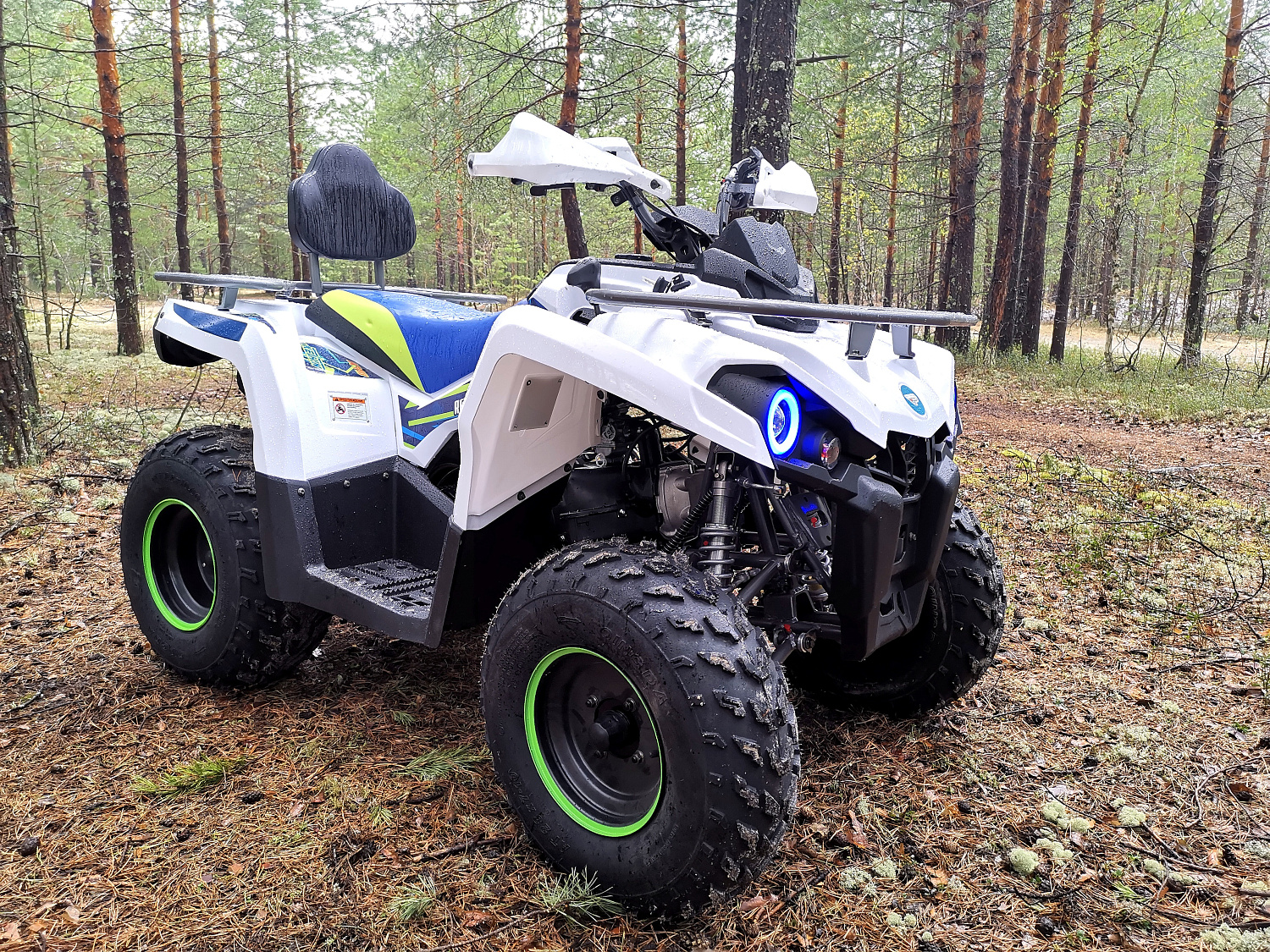 Квадроцикл PROMAX RENEGADE 280 (2025) в Камышине