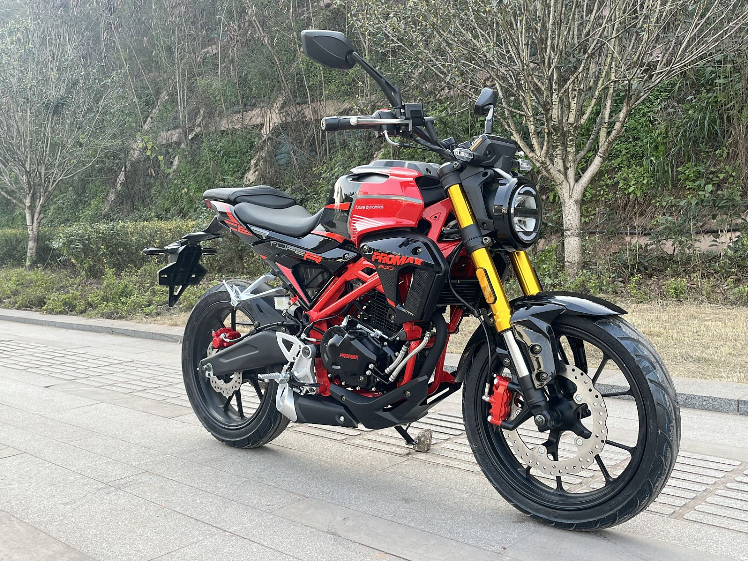 Мотоцикл PROMAX CB300RL (4V, 6G) в Камышине