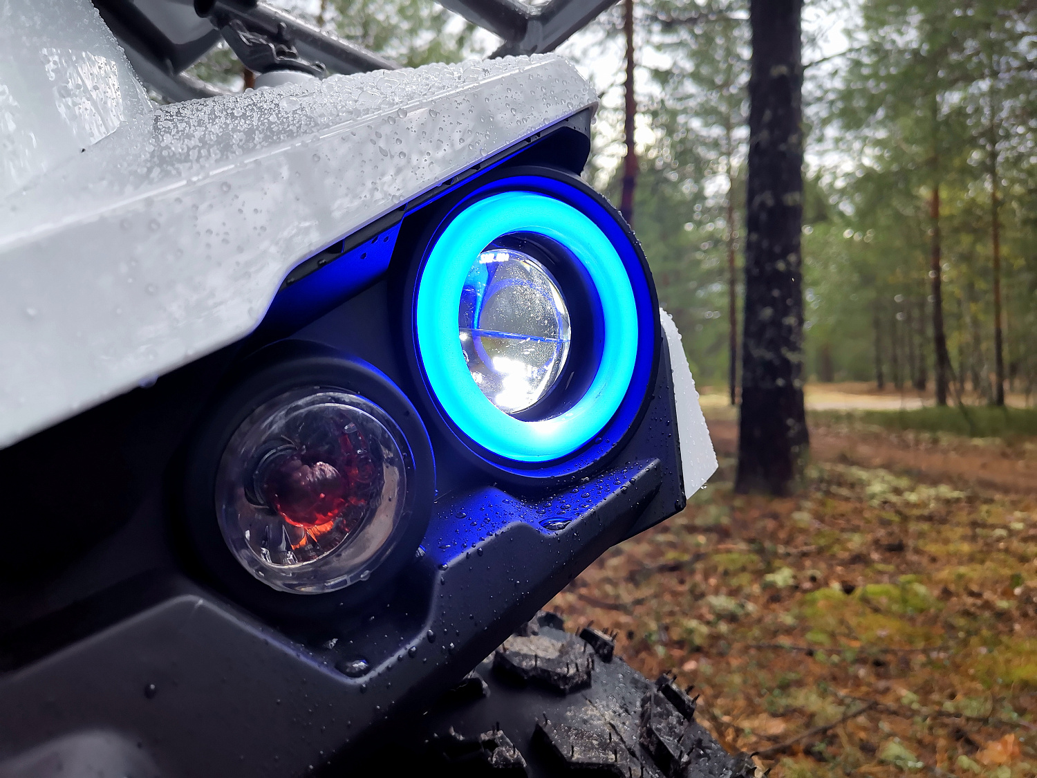 Квадроцикл PROMAX RENEGADE 280 (2025) в Камышине