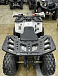 Квадроцикл PROMAX WILD 2.0 190 в Камышине