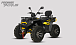 Квадроцикл PROMAX TAURUS 300 MAX-PRO LONG в Камышине